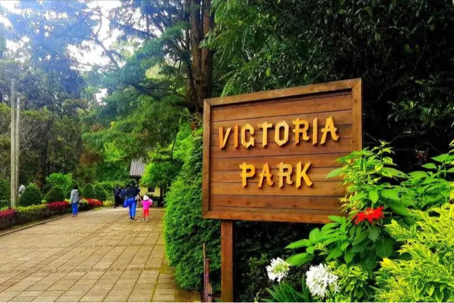 Victoria Park Nuwara Eliya – Colonial Garden and Birdwatcher’s Paradise