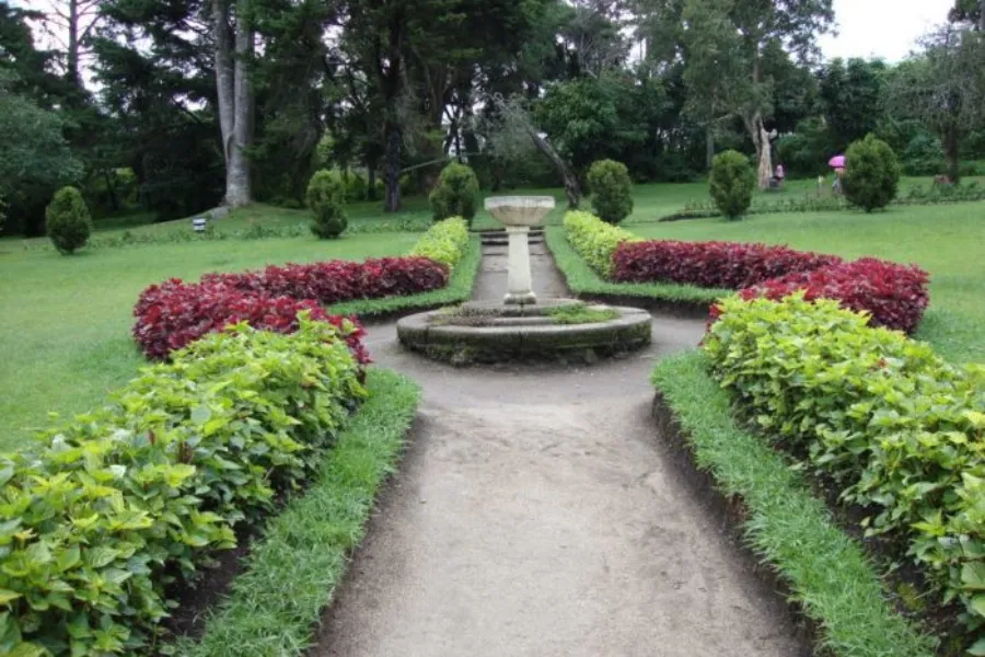 Victoria Park Nuwara Eliya – Colonial Garden and Birdwatcher’s Paradise