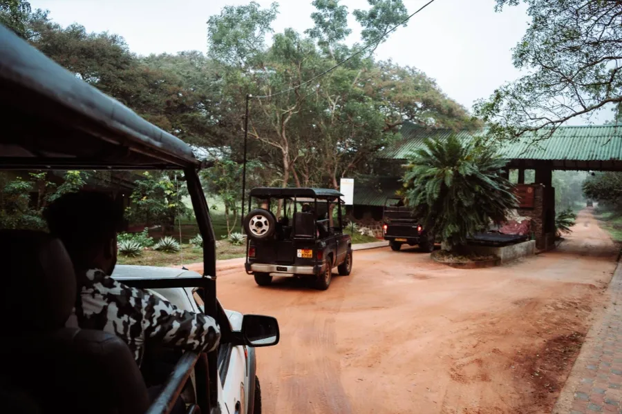 Wilpattu National Park – Sri Lanka’s Largest Park with Leopards & Lakes
