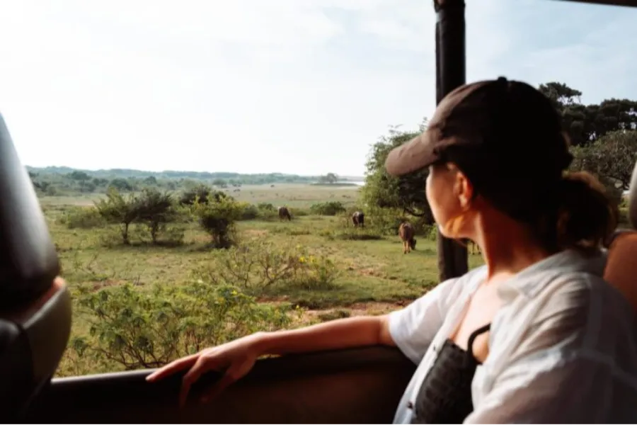 Yala National Park – Sri Lanka’s Premier Wildlife Safari Destination