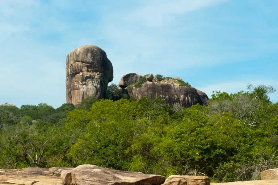 Yala National Park – Sri Lanka’s Premier Wildlife Safari Destination