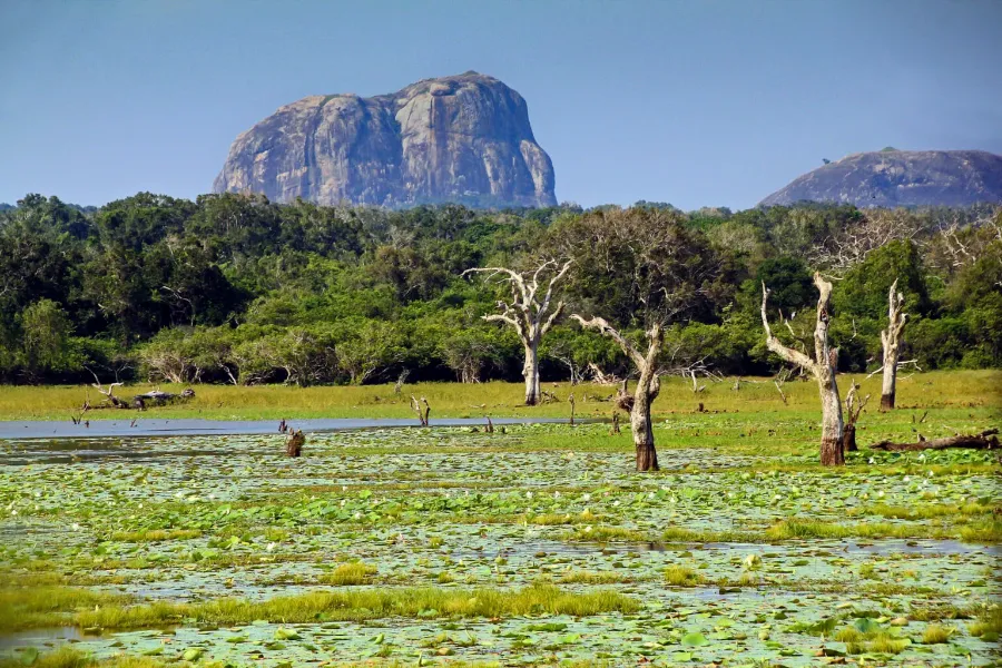 Yala National Park – Sri Lanka’s Premier Wildlife Safari Destination