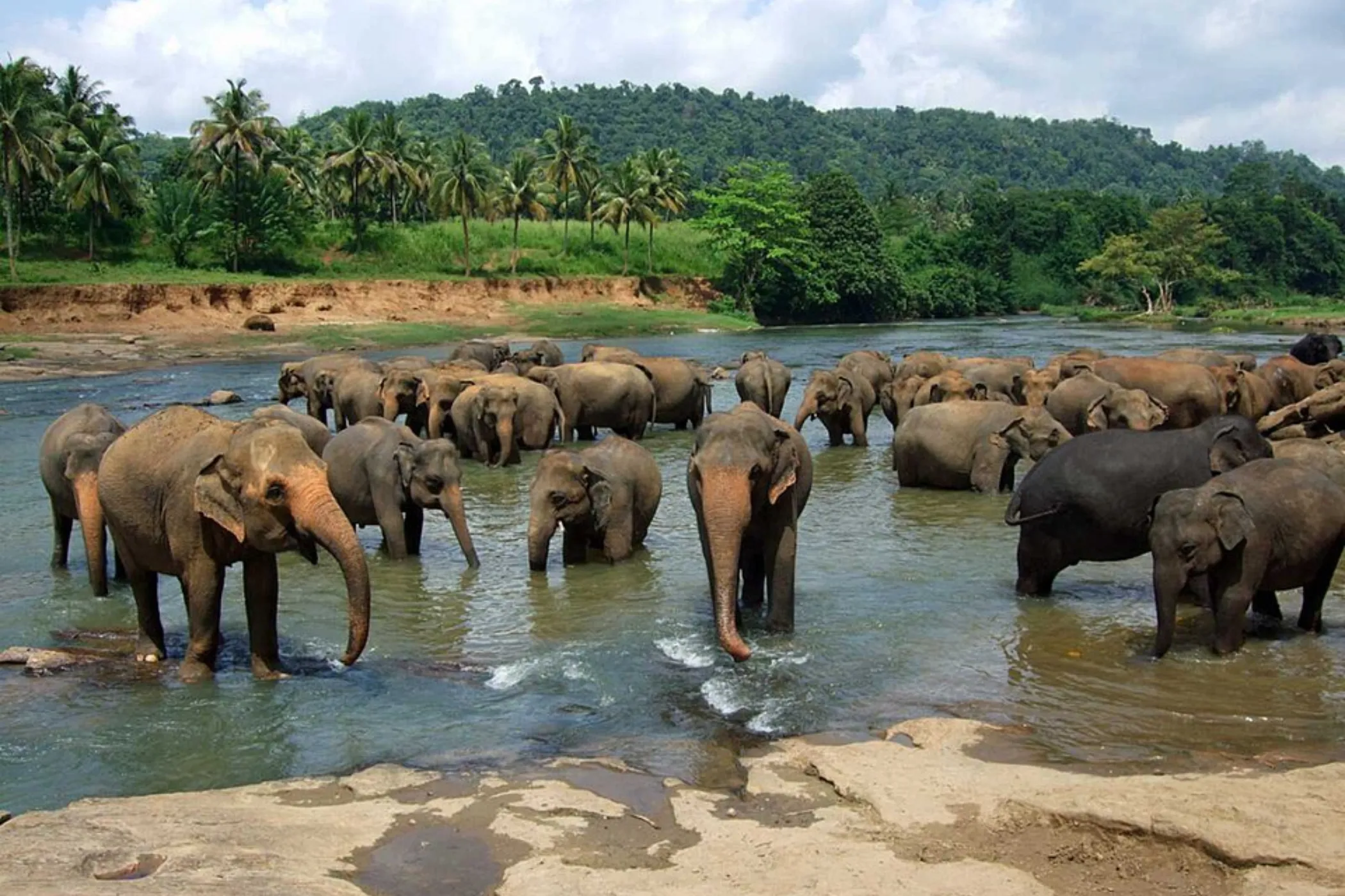 04 NIGHTS / 05 DAYS – NATURE, CULTURE, WILDLIFE & COASTAL CHARM Sri Lanka tour