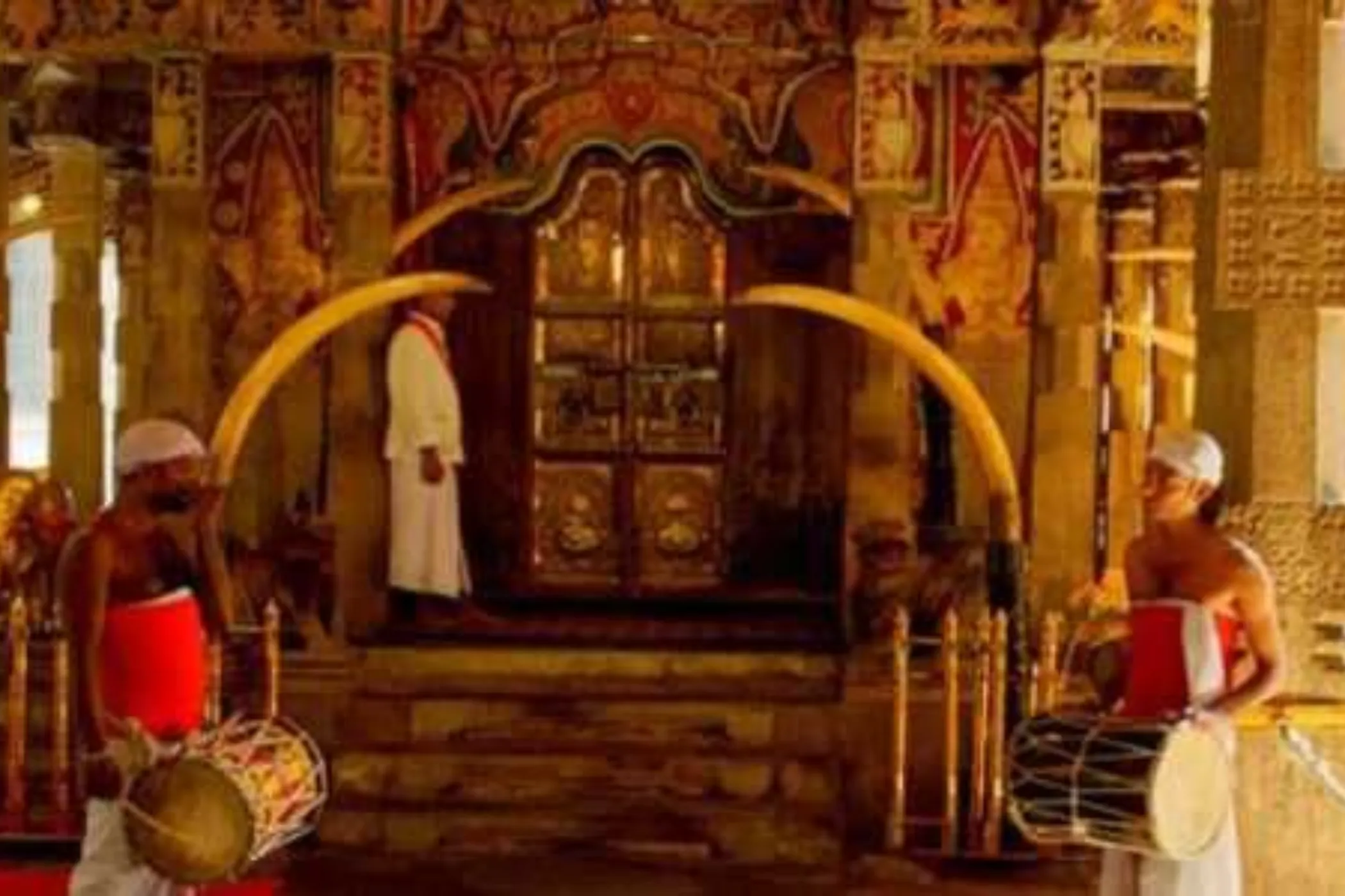 04 NIGHTS / 05 DAYS – NATURE, CULTURE, WILDLIFE & COASTAL CHARM | Viathra Leisure