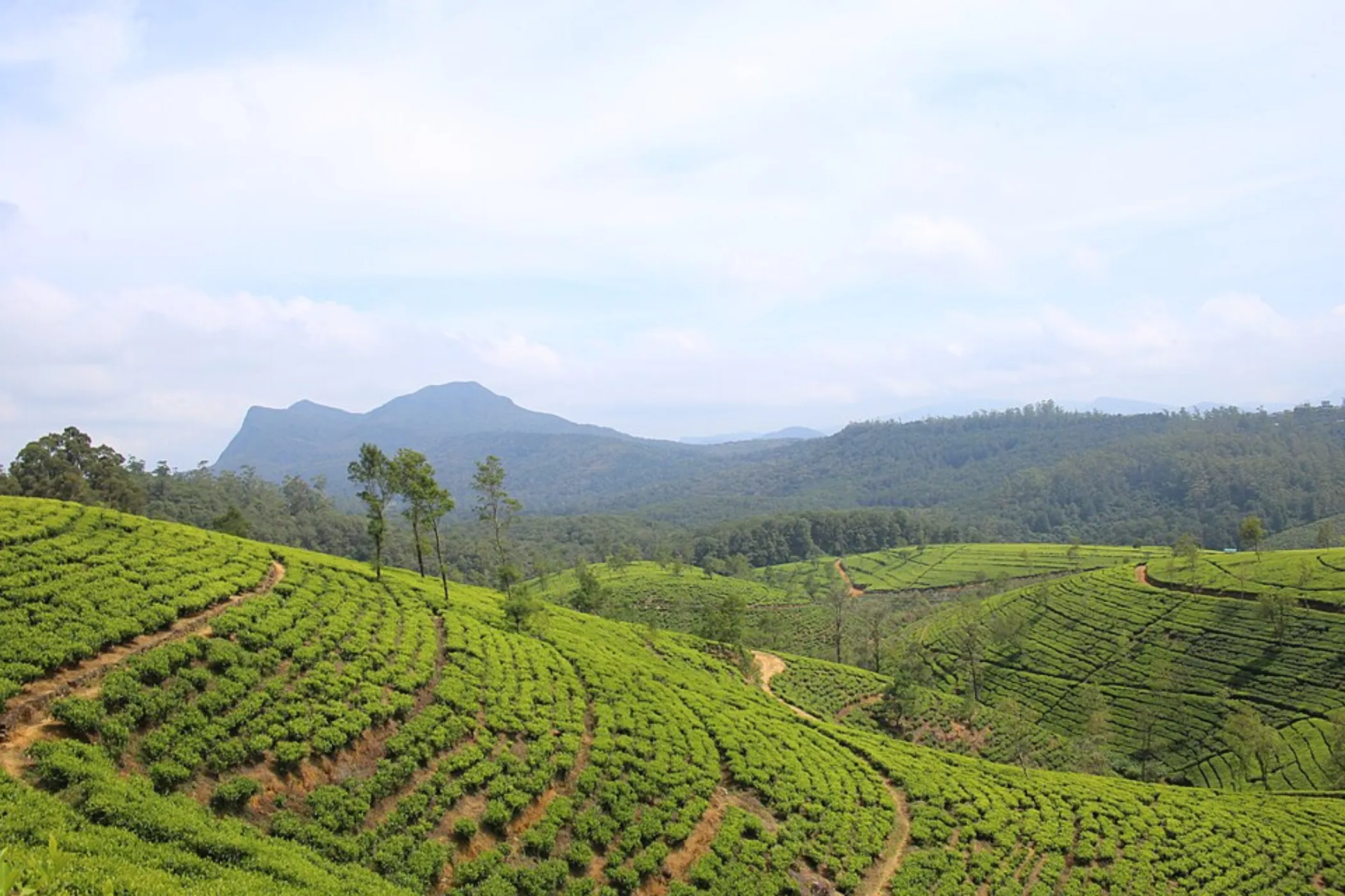 04 NIGHTS / 05 DAYS – NATURE, CULTURE, WILDLIFE & COASTAL CHARM | Viathra Leisure