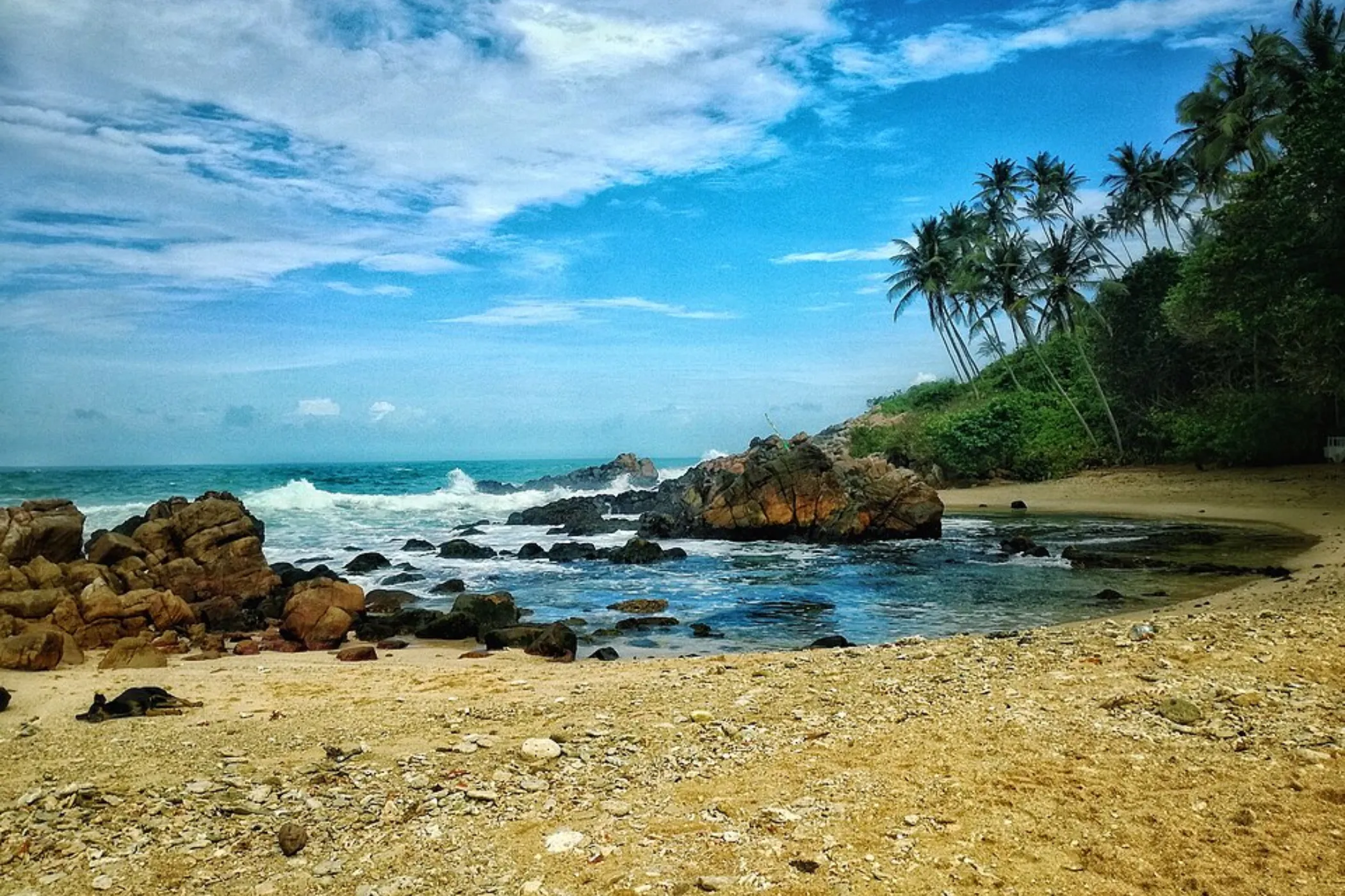 04 NIGHTS / 05 DAYS – NATURE, CULTURE, WILDLIFE & COASTAL CHARM | Viathra Leisure