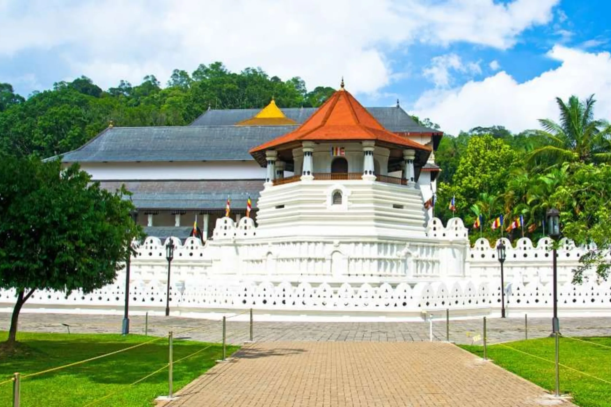 5 NIGHTS / 6 DAYS – WILDLIFE, TEA TRAILS & SOUTHERN BEACHES