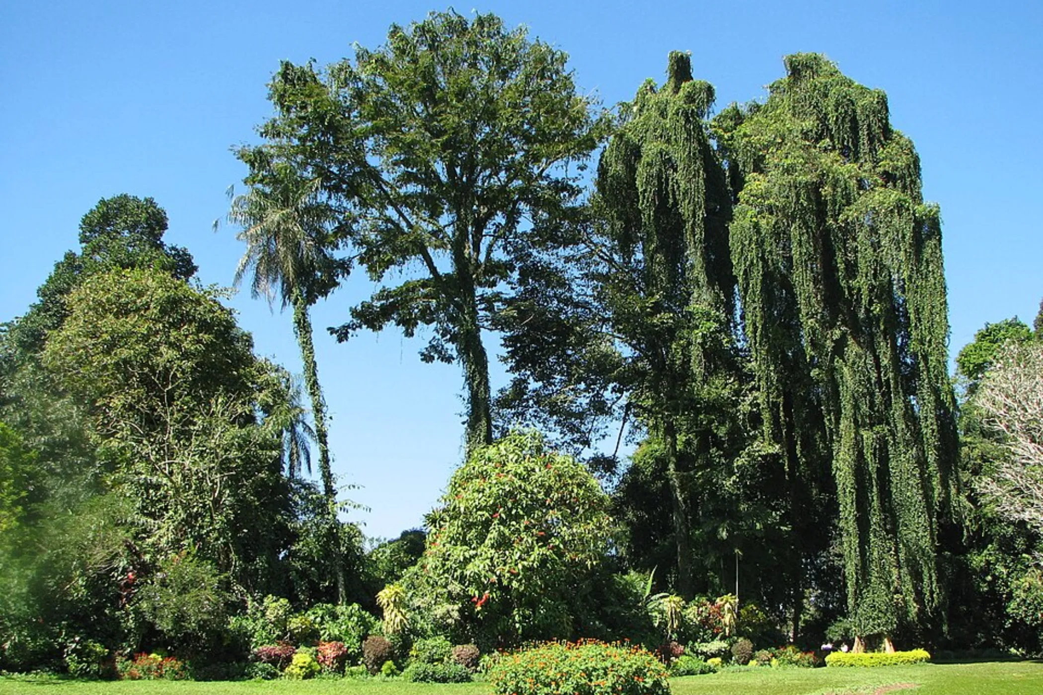 5 NIGHTS / 6 DAYS – WILDLIFE, TEA TRAILS & SOUTHERN BEACHES