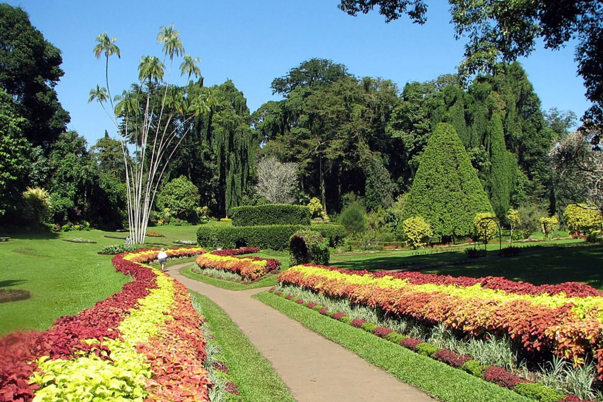 5 NIGHTS / 6 DAYS – WILDLIFE, TEA TRAILS & SOUTHERN BEACHES