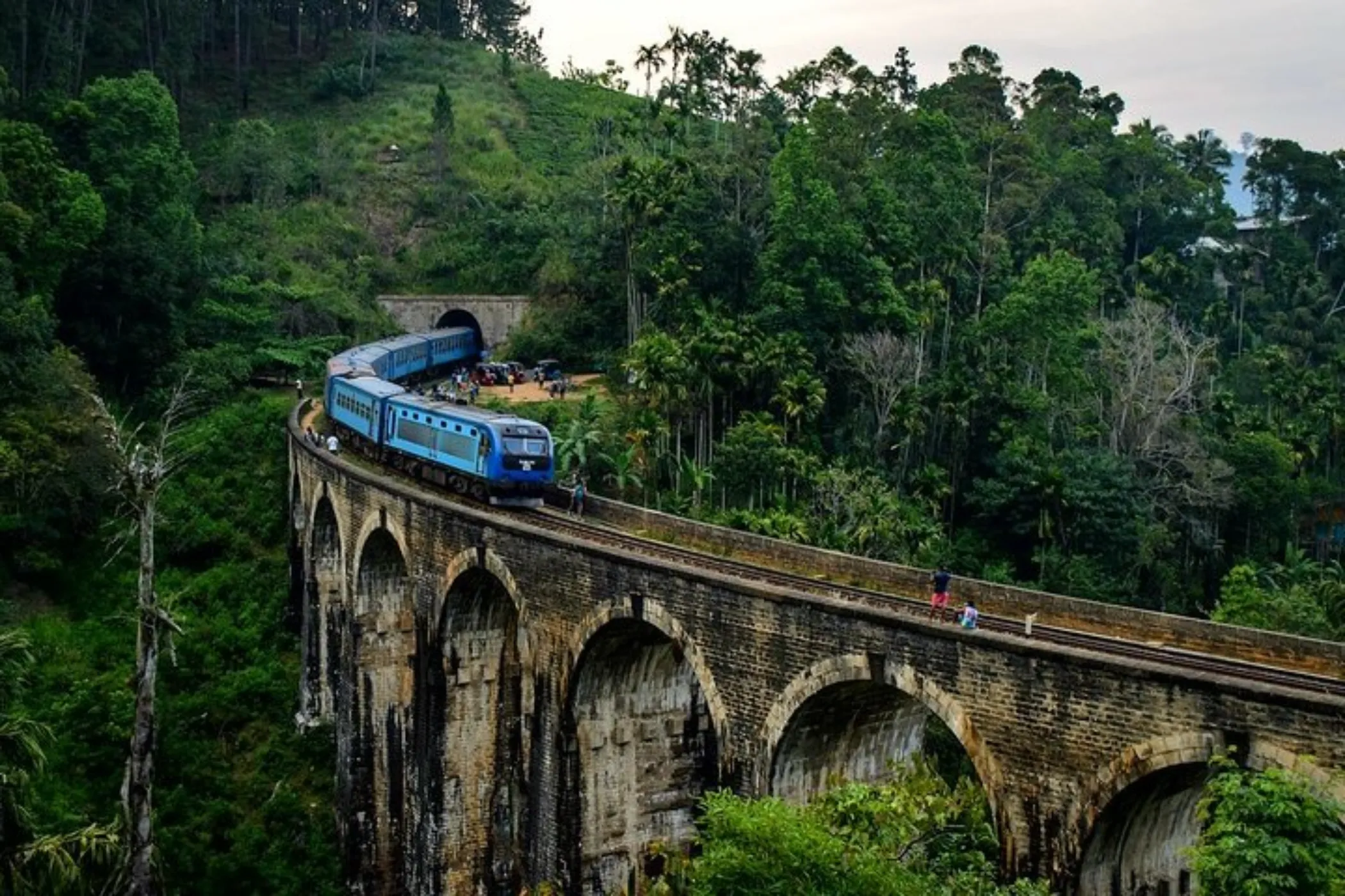 5 NIGHTS / 6 DAYS – WILDLIFE, TEA TRAILS & SOUTHERN BEACHES | Viathra Leisure