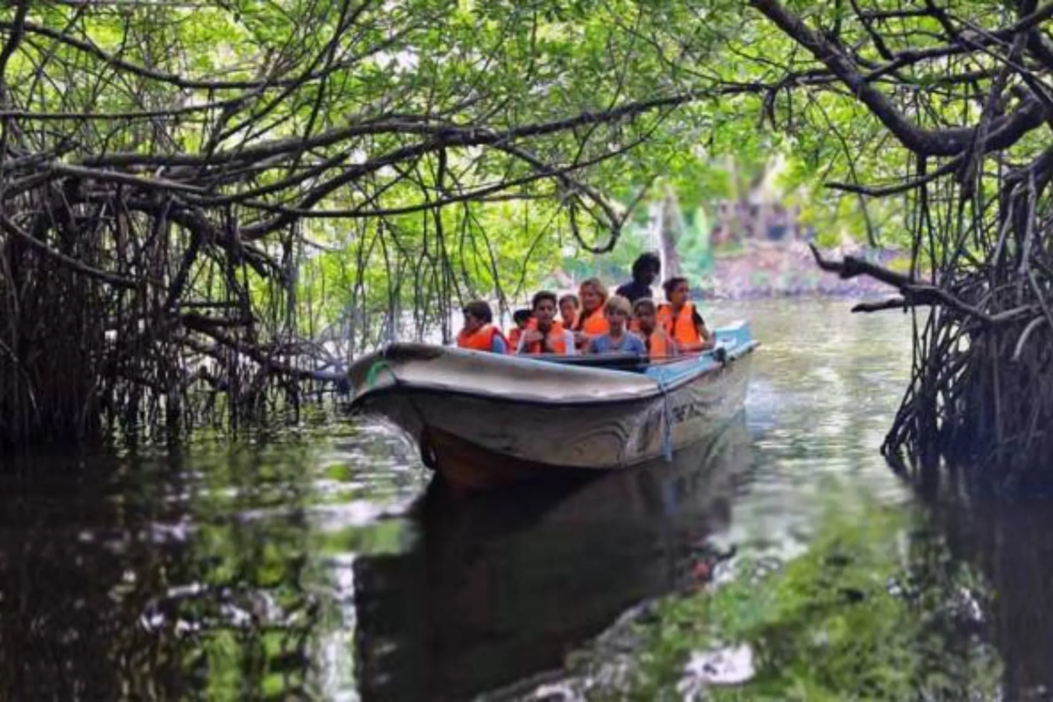 5 NIGHTS / 6 DAYS – WILDLIFE, TEA TRAILS & SOUTHERN BEACHES | Viathra Leisure