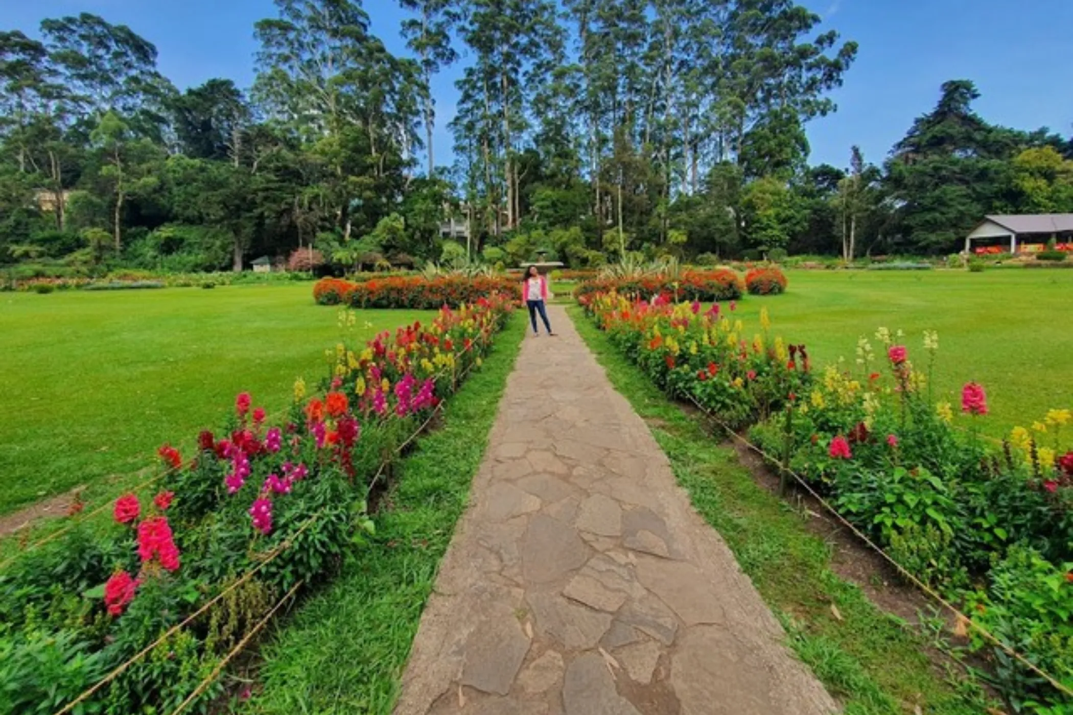 6 NIGHTS / 7 DAYS – CLASSIC SRI LANKA EXPERIENCE | Viathra Leisure