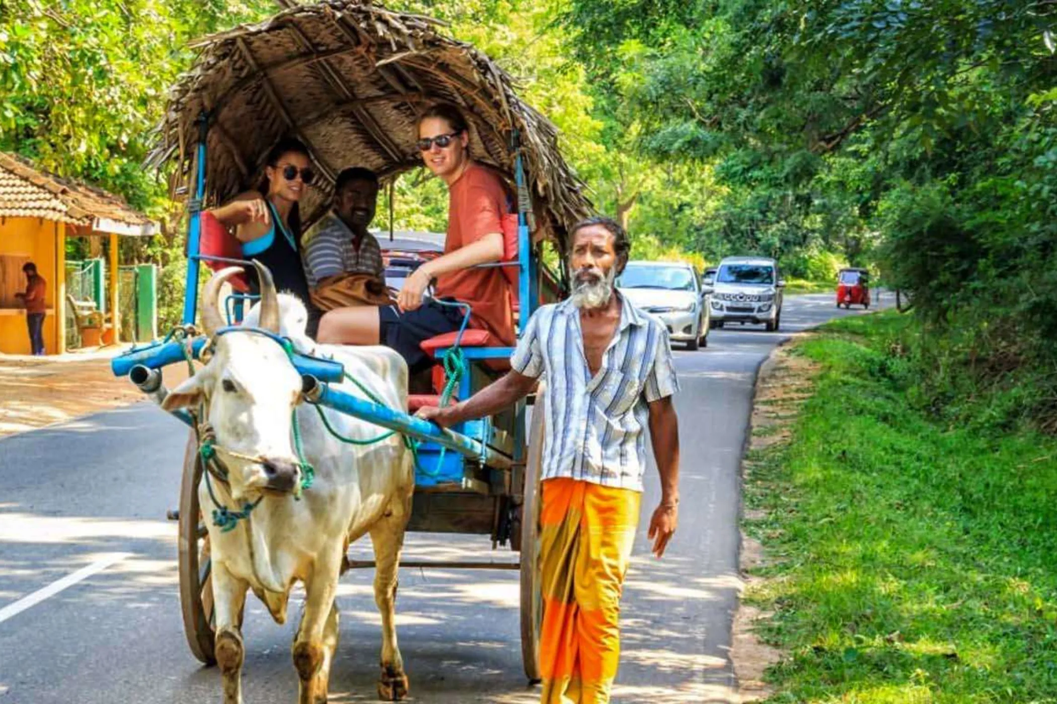 7 Nights / 8 Days – Whispers of Lanka: A Cultural and Coastal Odyssey | Viathra Leisure
