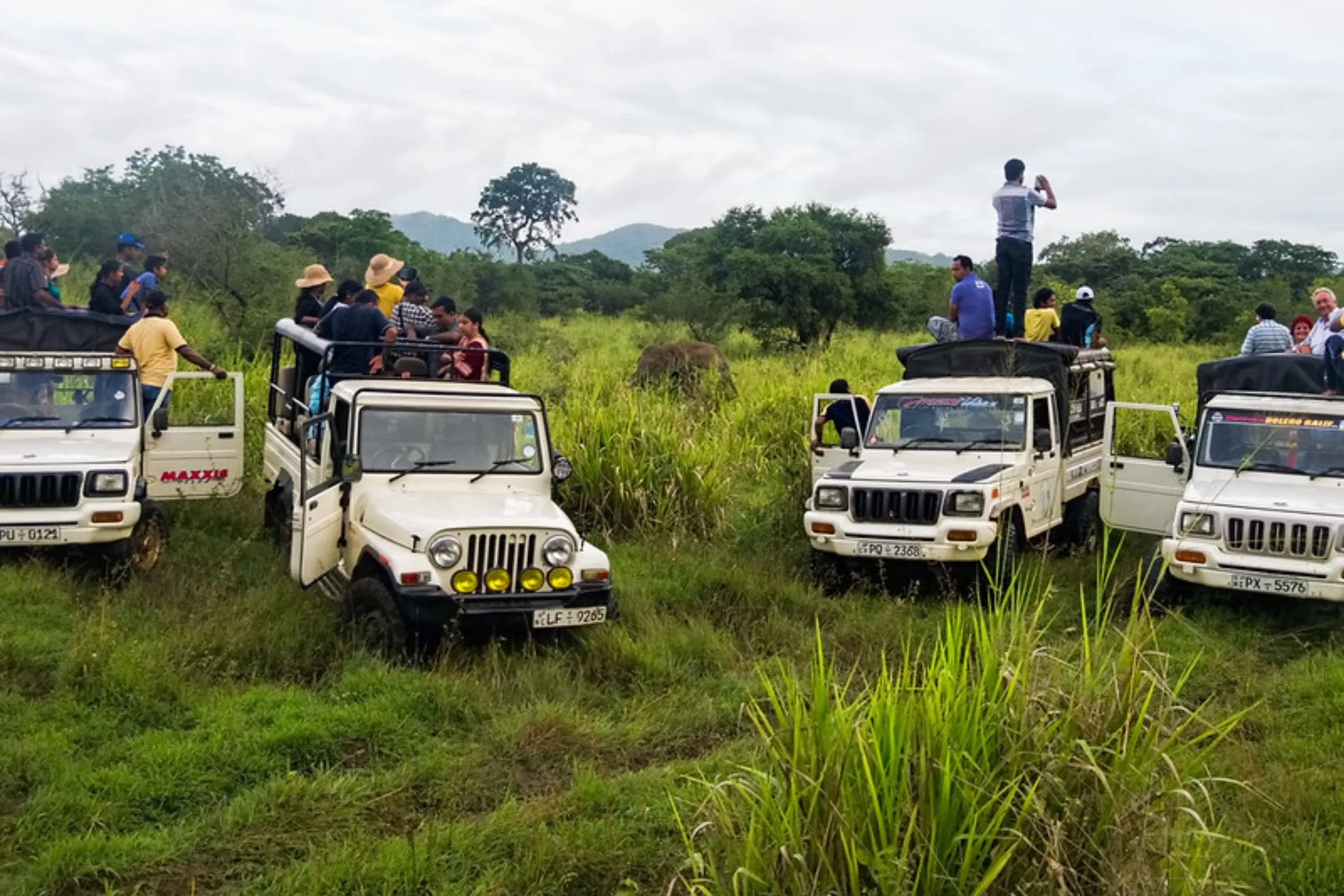 08 NIGHTS / 09 DAYS - WHISPERS OF LANKA: HIGHLANDS, HERITAGE & HIDDEN TRAILS | Viathra Leisure