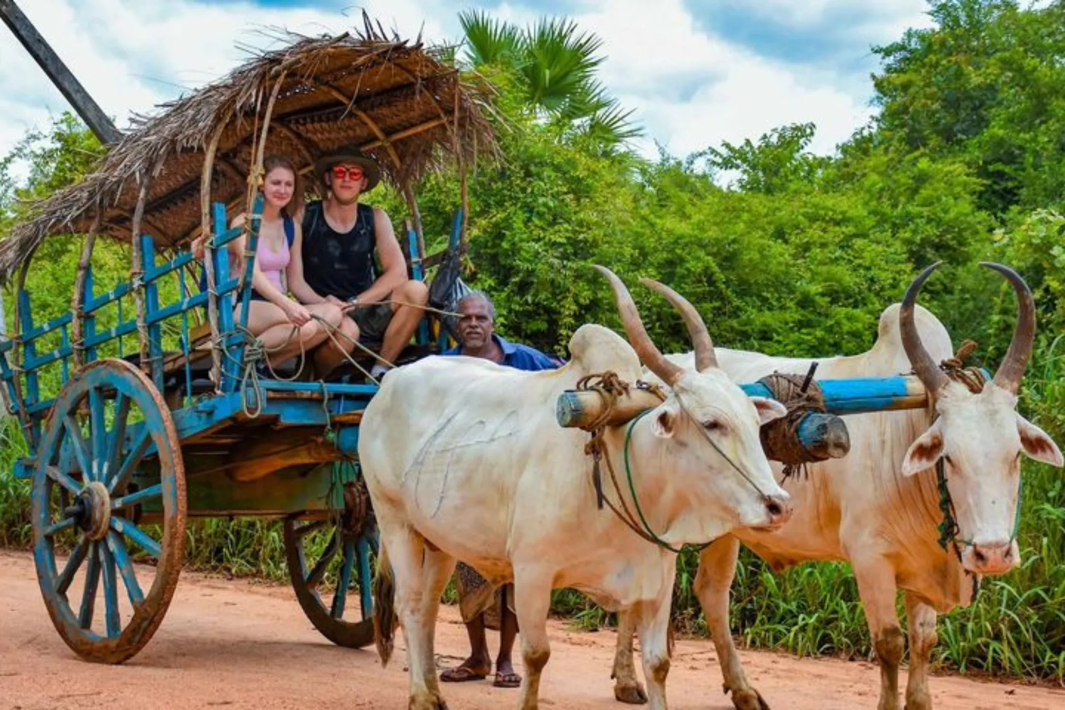 08 NIGHTS / 09 DAYS - WHISPERS OF LANKA: HIGHLANDS, HERITAGE & HIDDEN TRAILS | Viathra Leisure