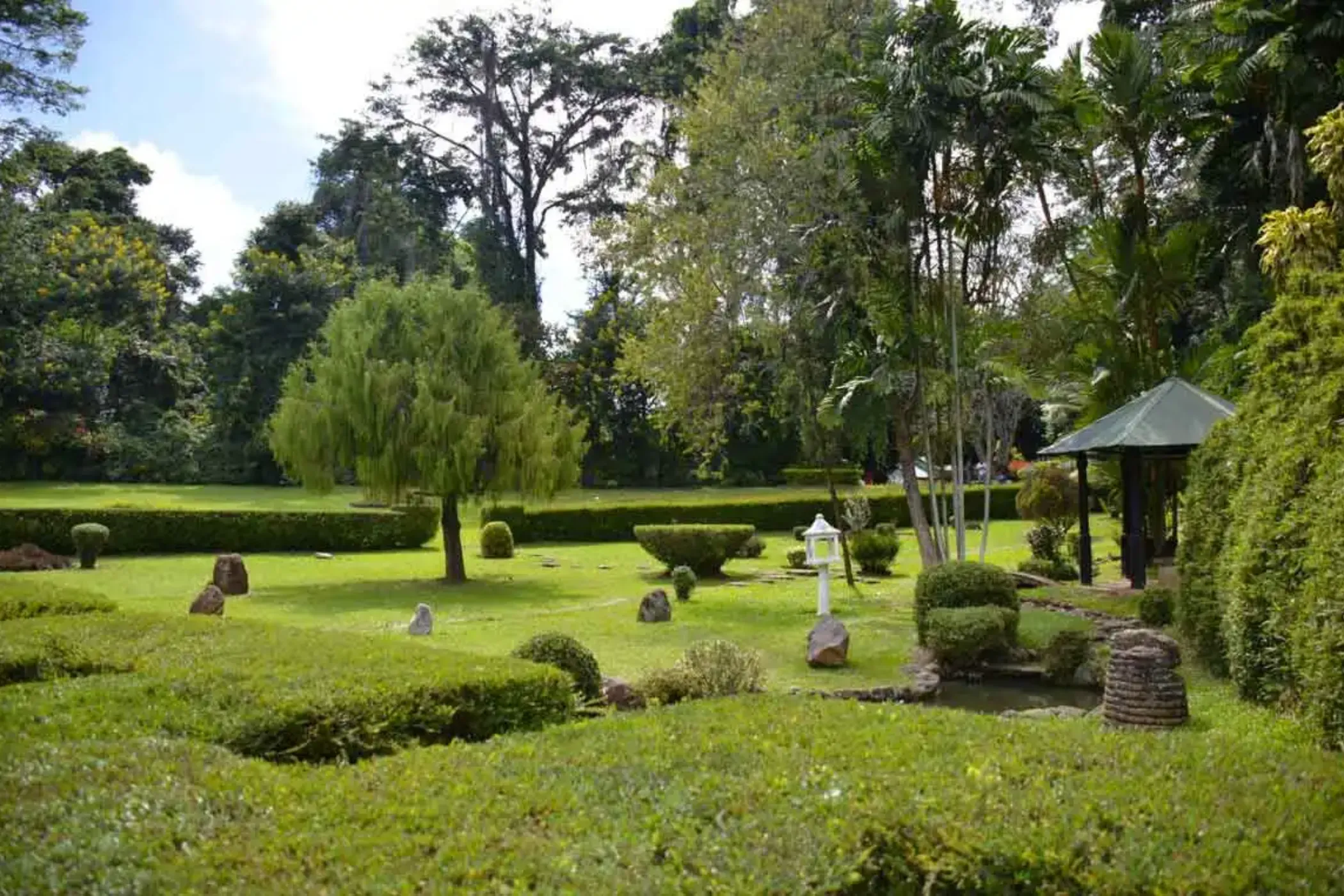 Serendib Sojourn: Sri Lanka's Best in 10 Days | Viathra Leisure