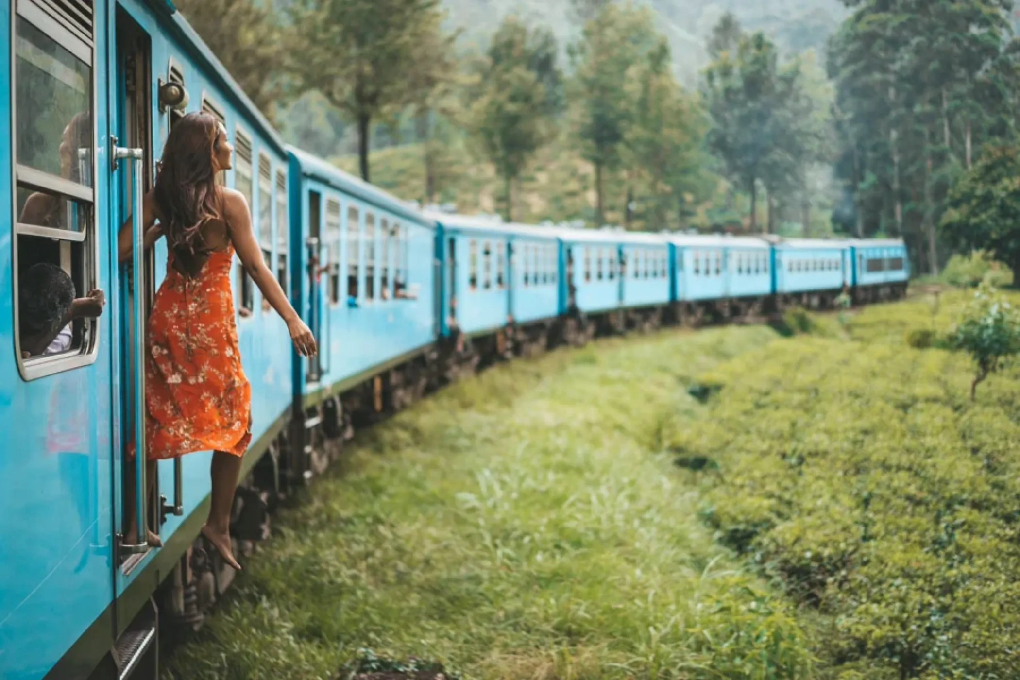 Serendib Sojourn: Sri Lanka's Best in 10 Days | Viathra Leisure
