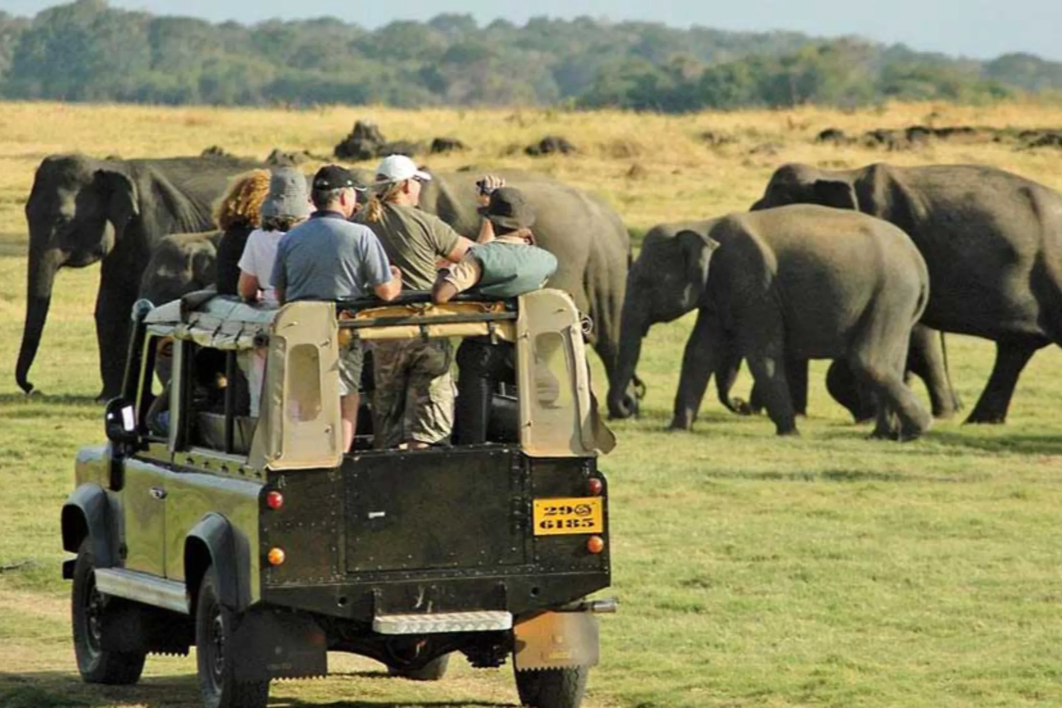 Serendib Sojourn: Sri Lanka's Best in 10 Days | Viathra Leisure