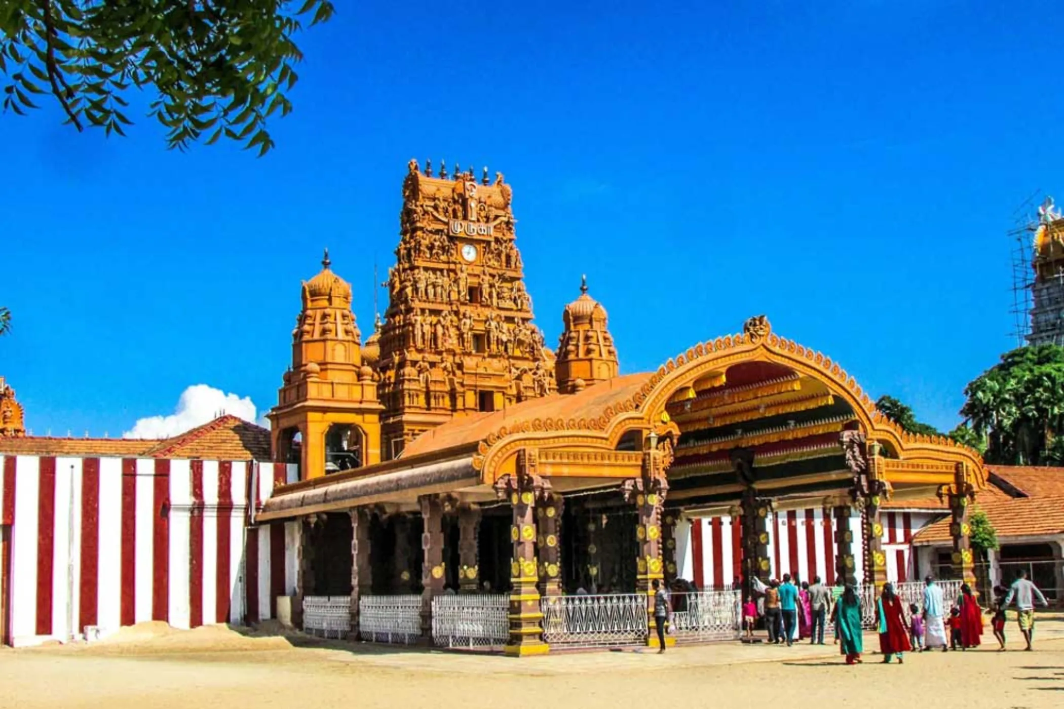 Serendib Horizons: 11-Day Sri Lanka North & South Tour | Viathra Leisure