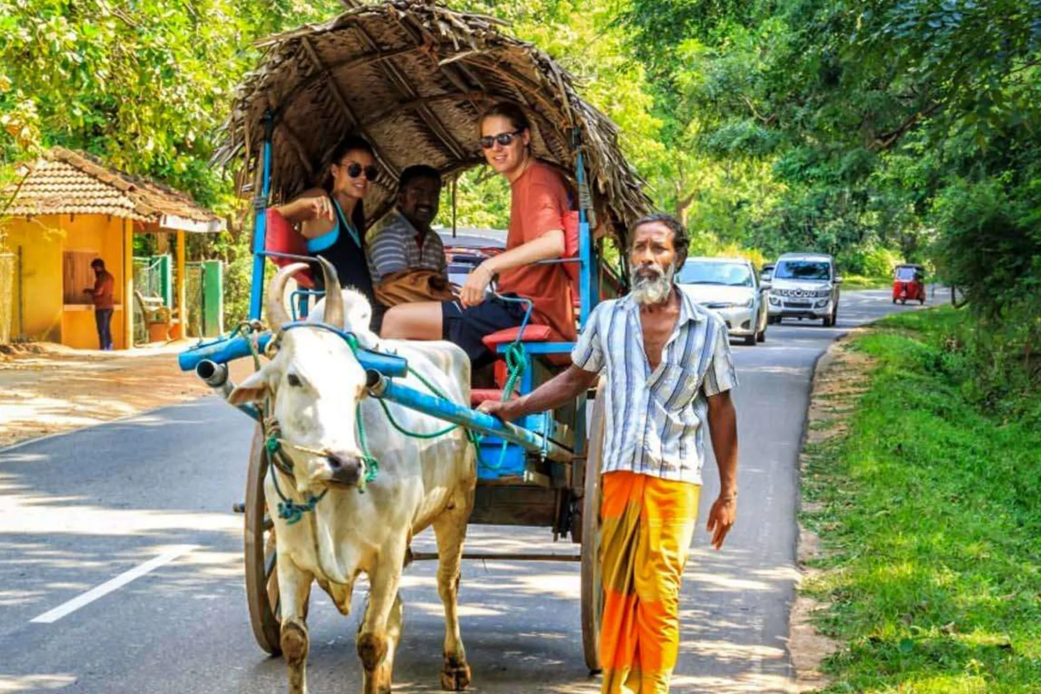 Serendib Horizons: 11-Day Sri Lanka North & South Tour | Viathra Leisure