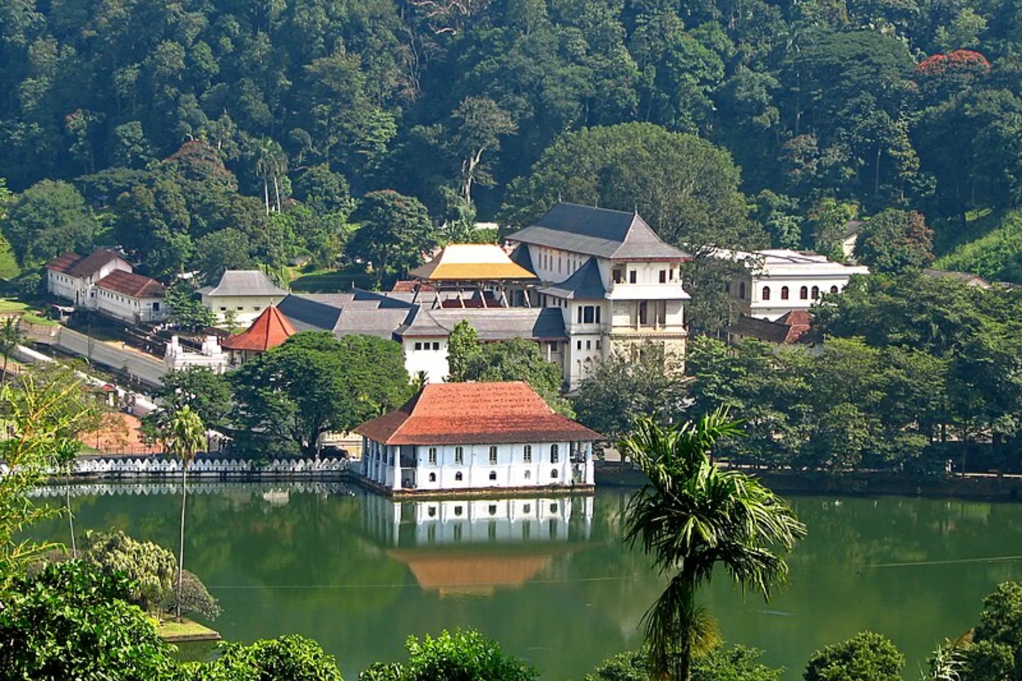 Serendib Horizons: 11-Day Sri Lanka North & South Tour | Viathra Leisure