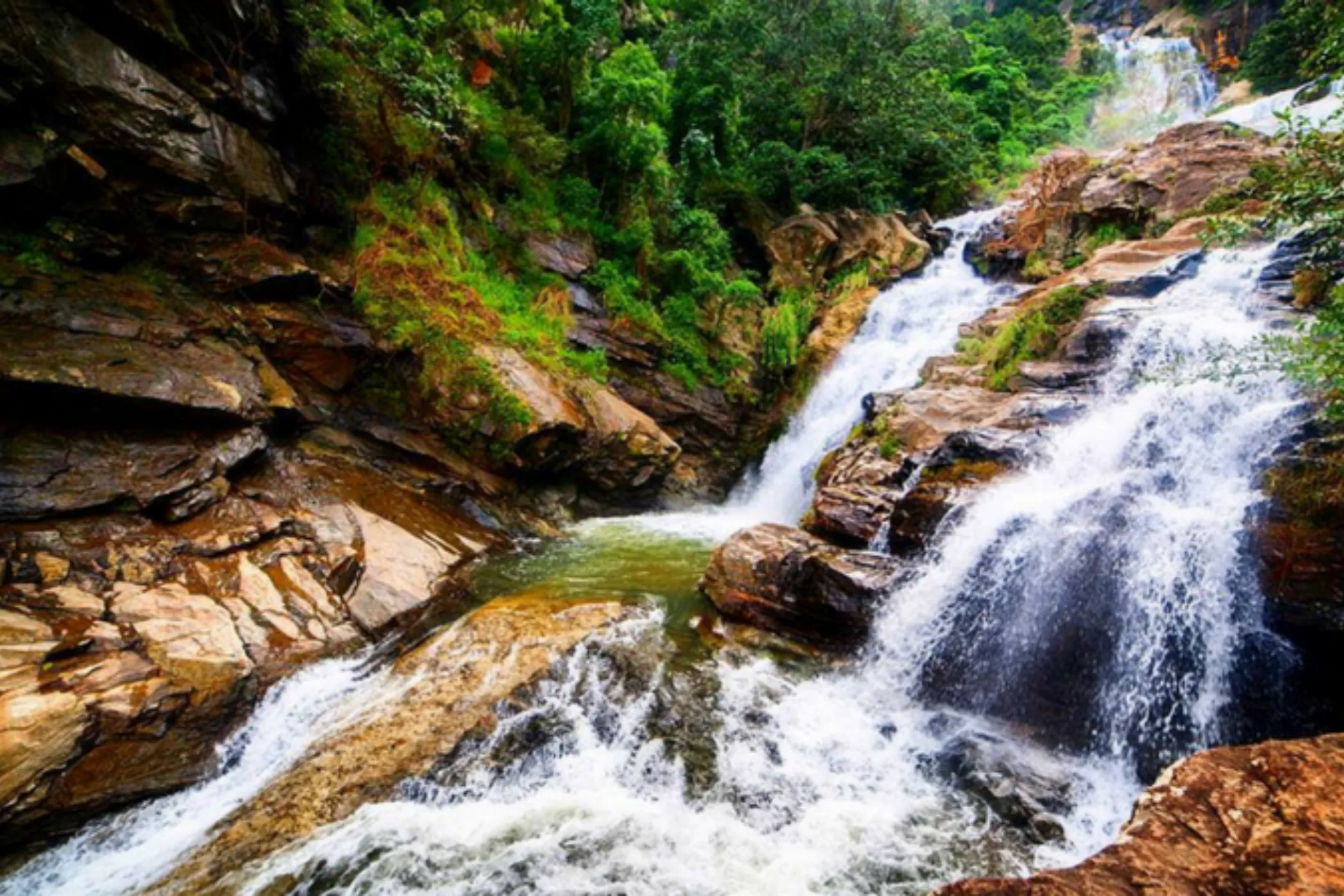 Serendib Horizons: 11-Day Sri Lanka North & South Tour | Viathra Leisure