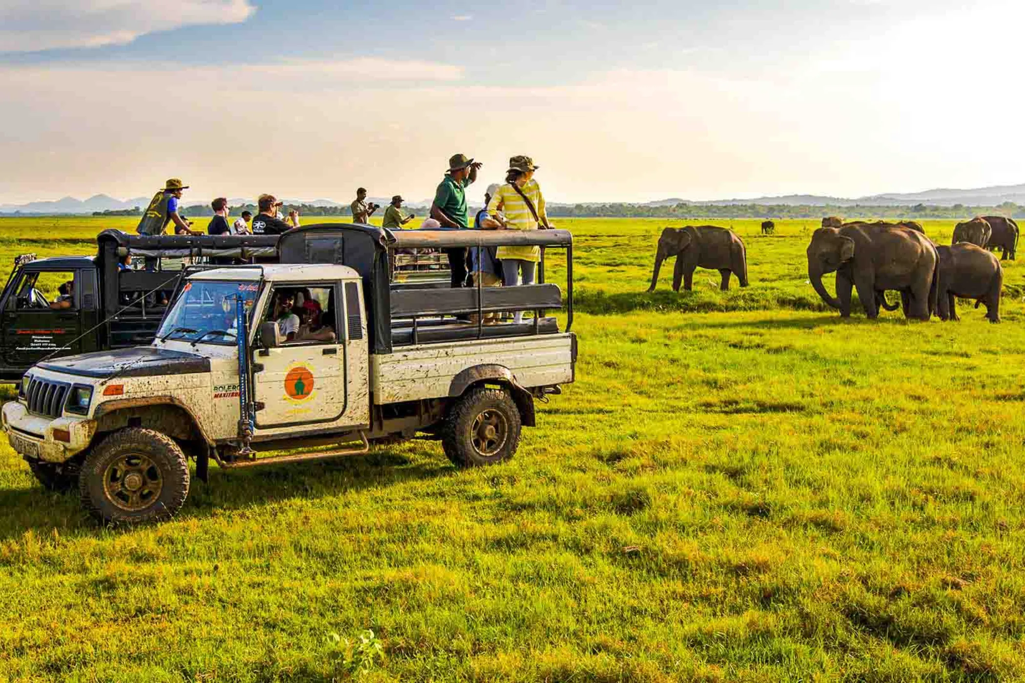 12-Day Sri Lanka Heritage & Coastal Wonders | Viathra Leisure