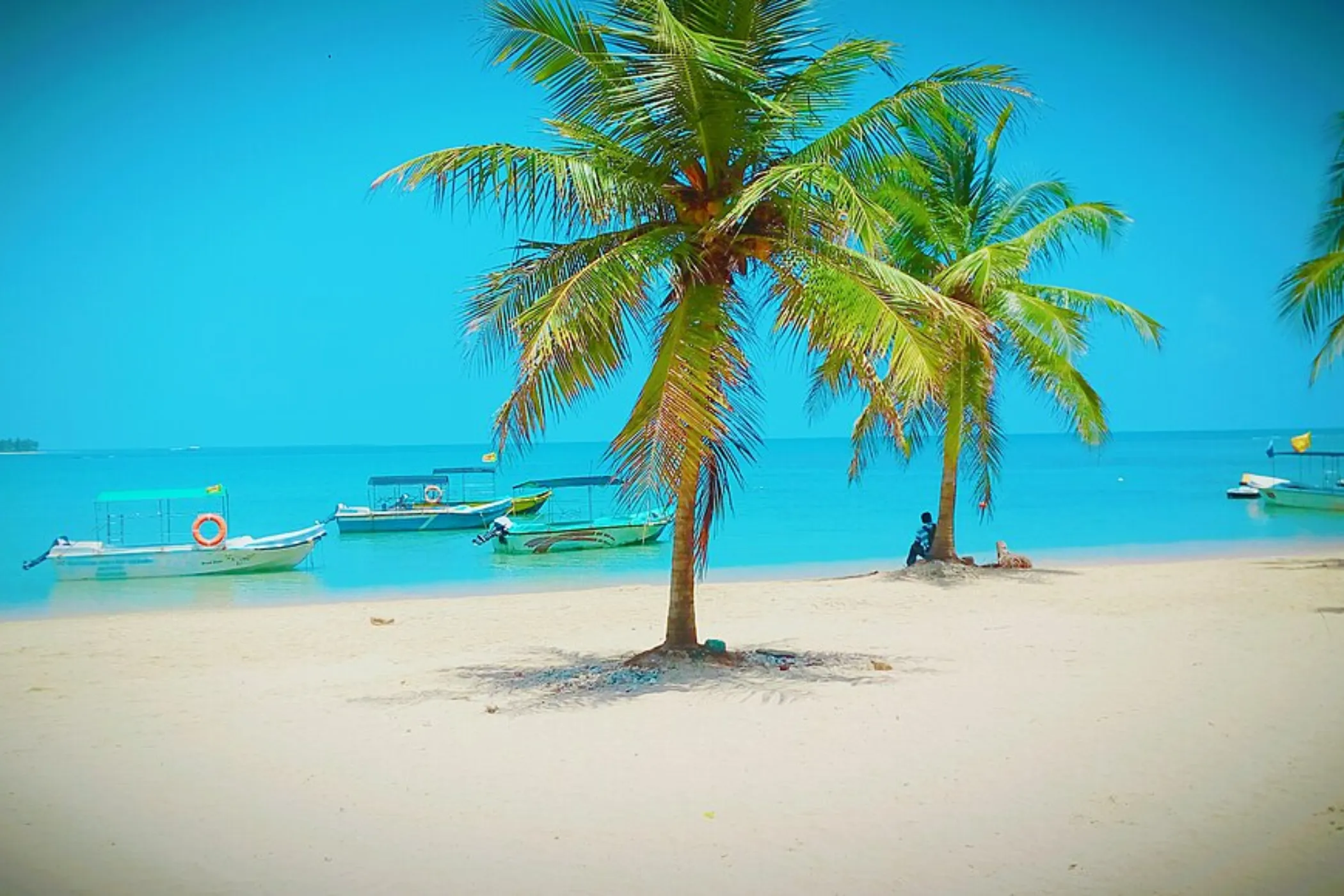 12-Day Sri Lanka Heritage & Coastal Wonders | Viathra Leisure