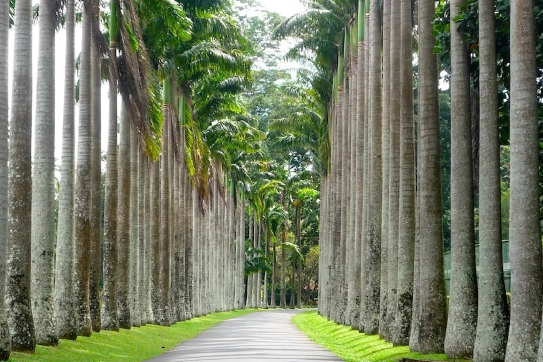 12-Day Sri Lanka Heritage & Coastal Wonders | Viathra Leisure