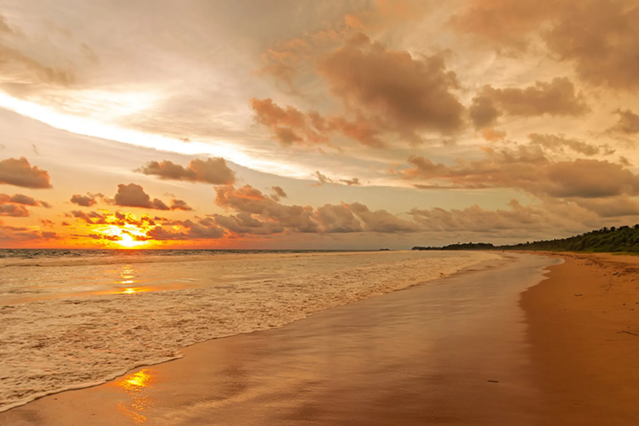 12-Day Sri Lanka Heritage & Coastal Wonders | Viathra Leisure