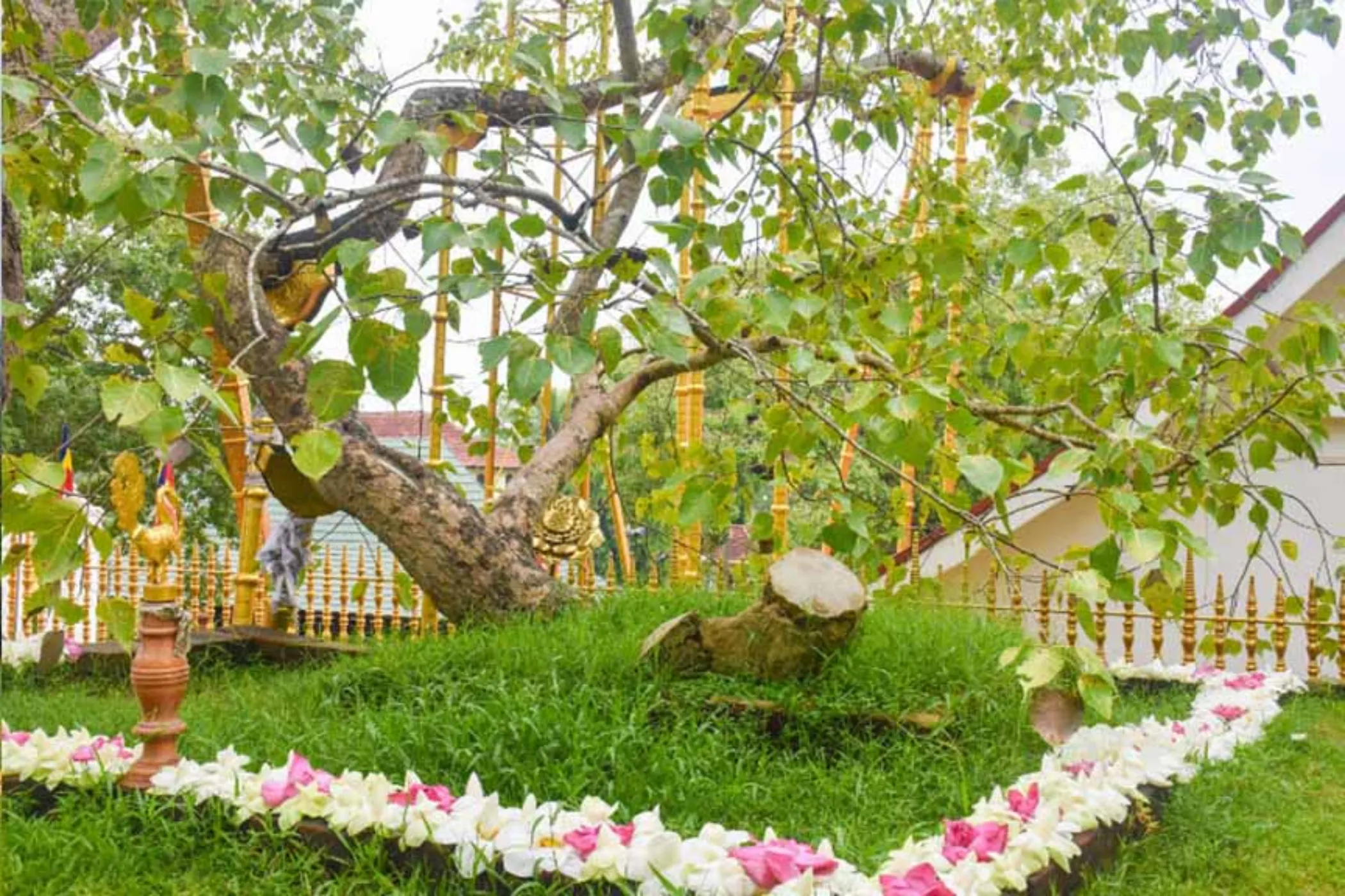 13-Day Sri Lanka Mystical Trails & Beach Escape | Viathra Leisure
