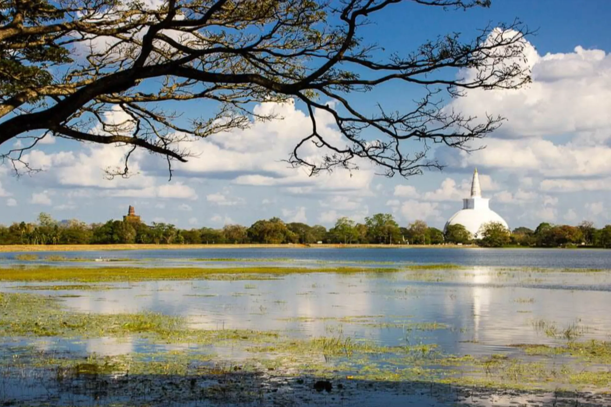 13-Day Sri Lanka Mystical Trails & Beach Escape | Viathra Leisure