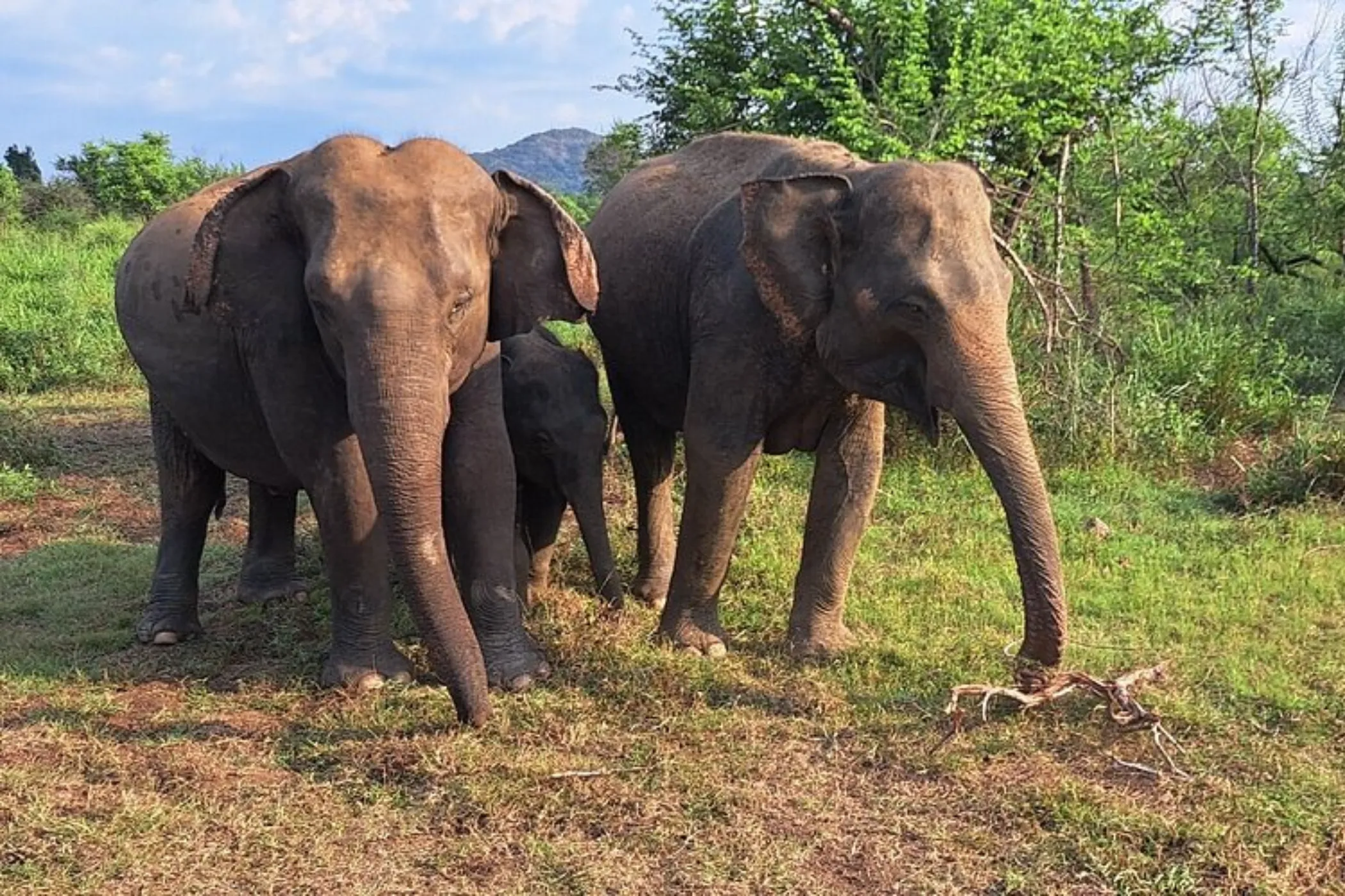 13-Day Sri Lanka Mystical Trails & Beach Escape | Viathra Leisure