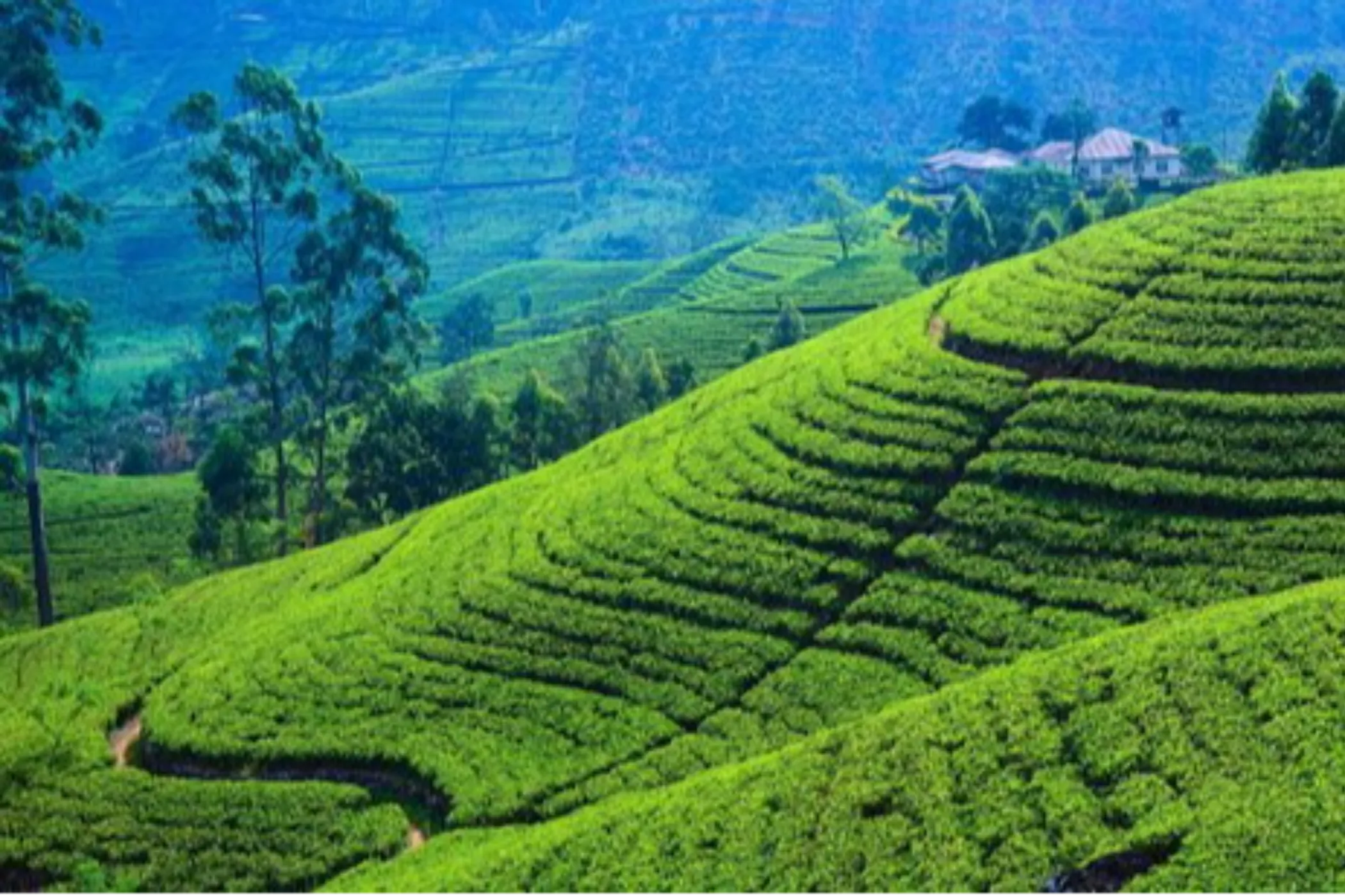 13-Day Sri Lanka Mystical Trails & Beach Escape | Viathra Leisure