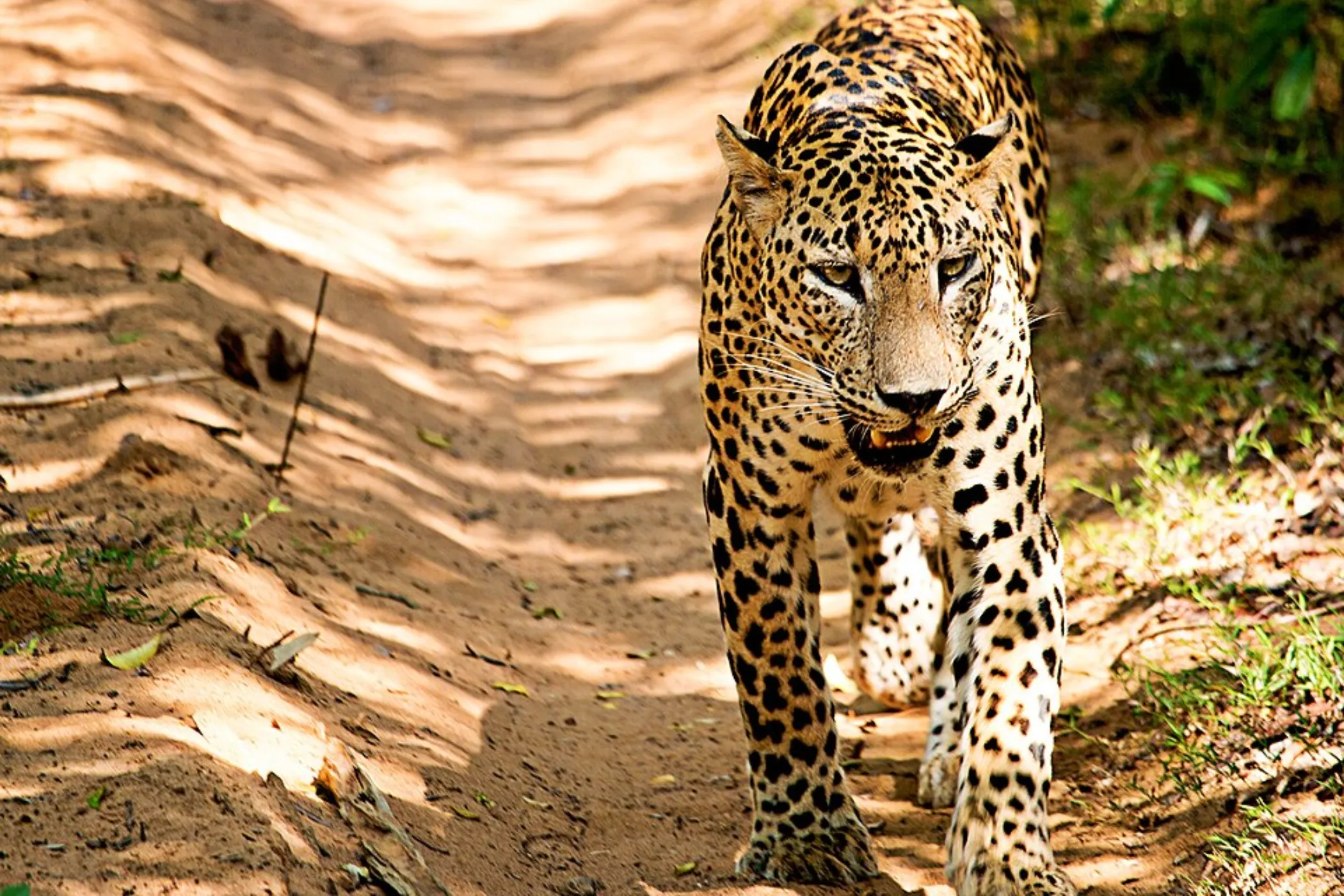Wonders of Sri Lanka – 13 Nights / 14 Days Sri Lanka tour