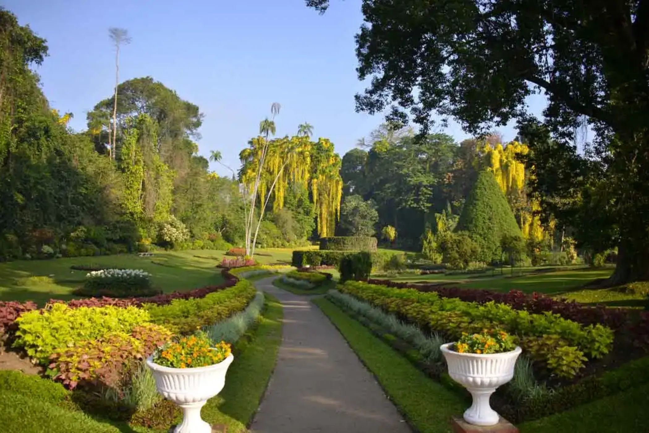 Grand Sri Lanka Discovery – 15 Days | Viathra Leisure