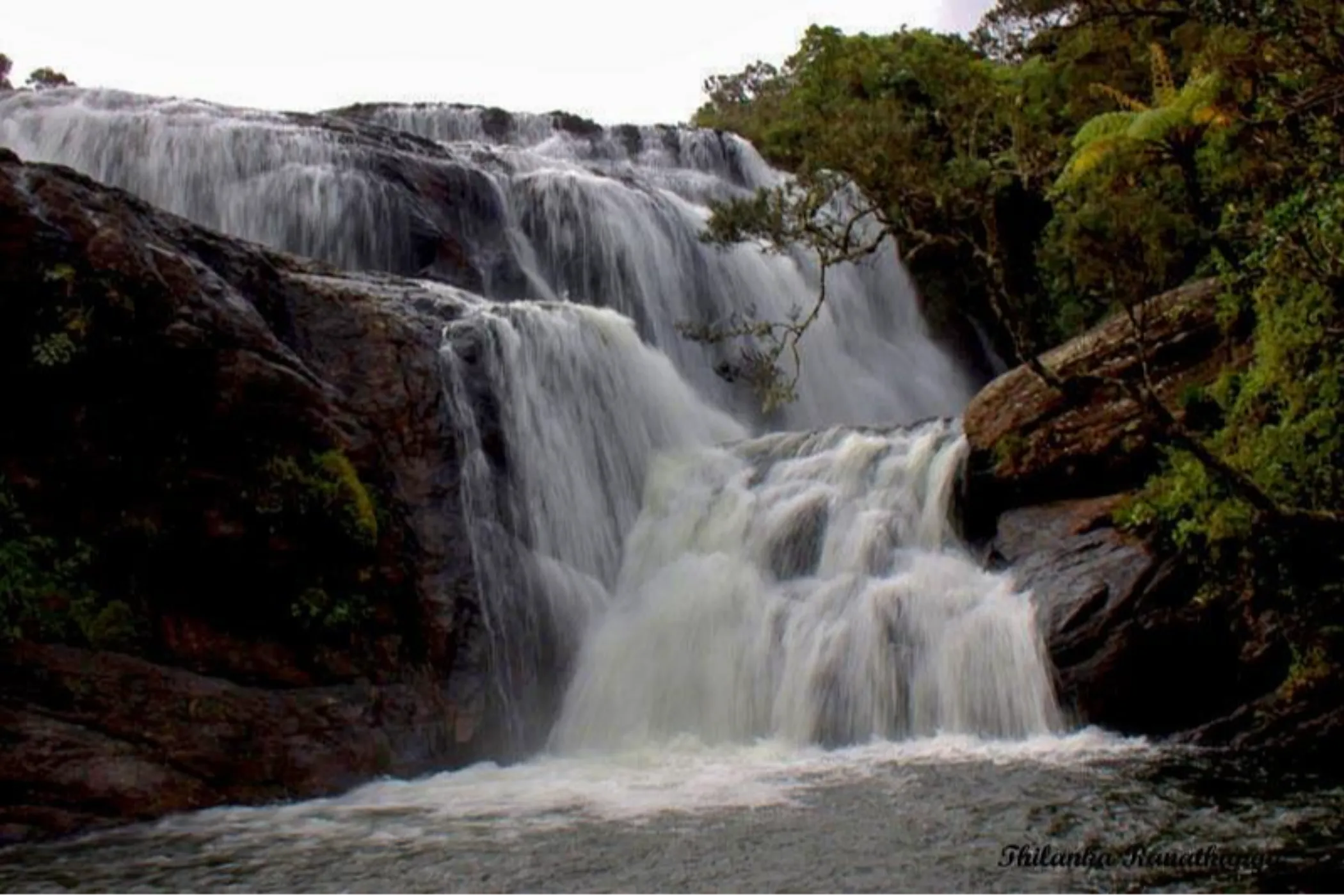 7-Day Adrenaline Escape in Sri Lanka: Rafting, Hiking & Ziplining Tour | Viathra Leisure