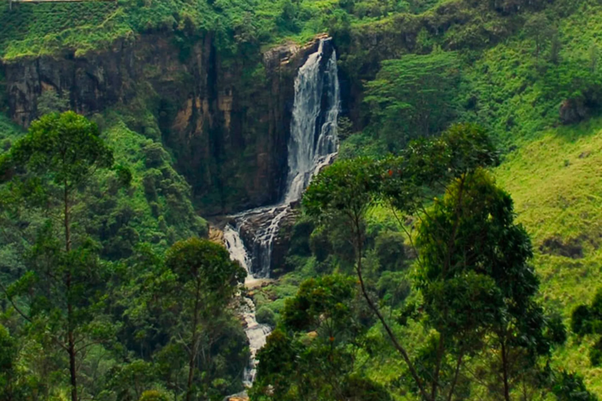 7-Day Adrenaline Escape in Sri Lanka: Rafting, Hiking & Ziplining Tour | Viathra Leisure