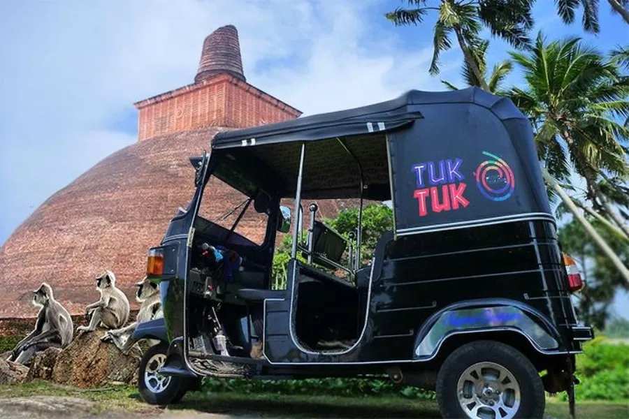Adventure, Coastal Currents & Ancient Echoes – 10 Day Sri Lanka Tour | Viathra Leisure