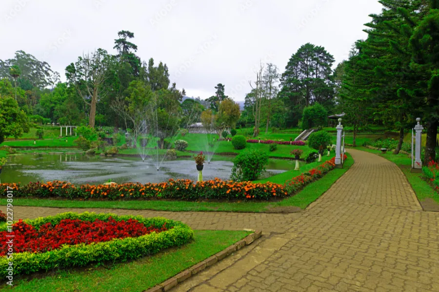 03 NIGHTS / 04 DAYS – CULTURAL TRIANGLE & HILL COUNTRY HIGHLIGHTS | Viathra Leisure