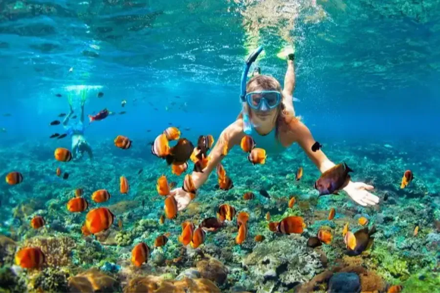 10 Days / 9 Nights – Coastal Thrills & Highland Escapes: A Sri Lankan Adventure | Viathra Leisure