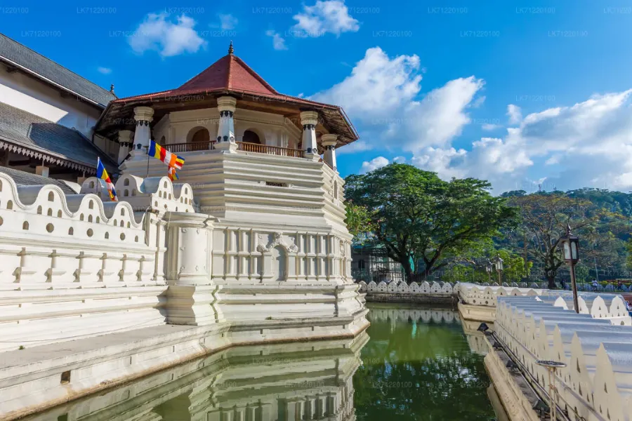 10 Days / 9 Nights – Coastal Thrills & Highland Escapes: A Sri Lankan Adventure | Viathra Leisure