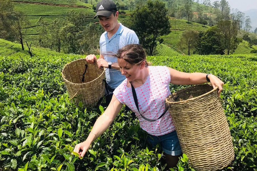 10 Days / 9 Nights – Coastal Thrills & Highland Escapes: A Sri Lankan Adventure | Viathra Leisure