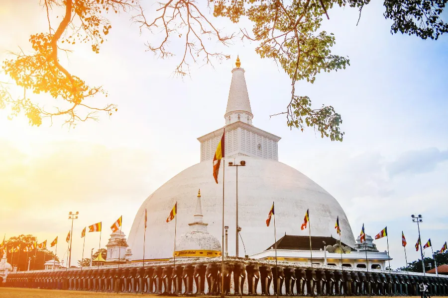 7 Nights / 8 Days – Inner Harmony: A Wellness & Meditation Journey in Sri Lanka | Viathra Leisure