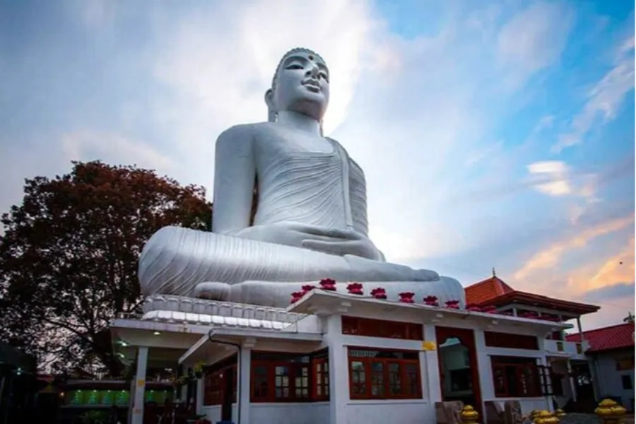 7 Nights / 8 Days – Inner Harmony: A Wellness & Meditation Journey in Sri Lanka | Viathra Leisure