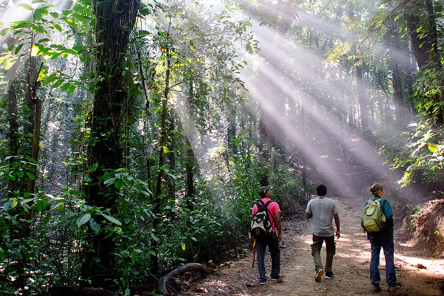 7 Nights / 8 Days – Inner Harmony: A Wellness & Meditation Journey in Sri Lanka | Viathra Leisure