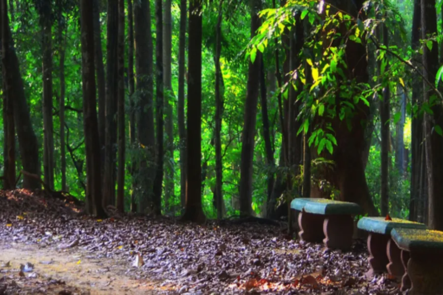 7 Nights / 8 Days – Inner Harmony: A Wellness & Meditation Journey in Sri Lanka | Viathra Leisure