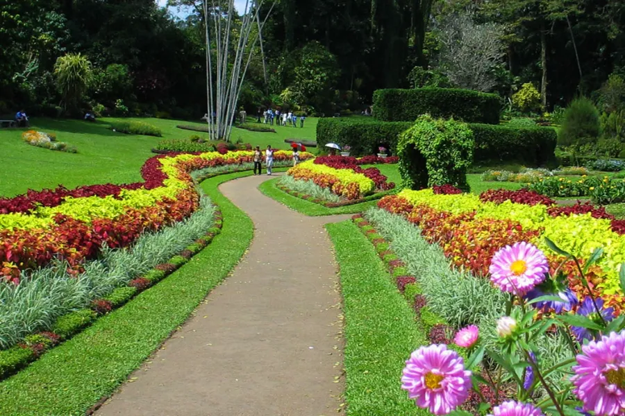 6 Nights / 7 Days – Heritage Trail of Sri Lanka | Viathra Leisure