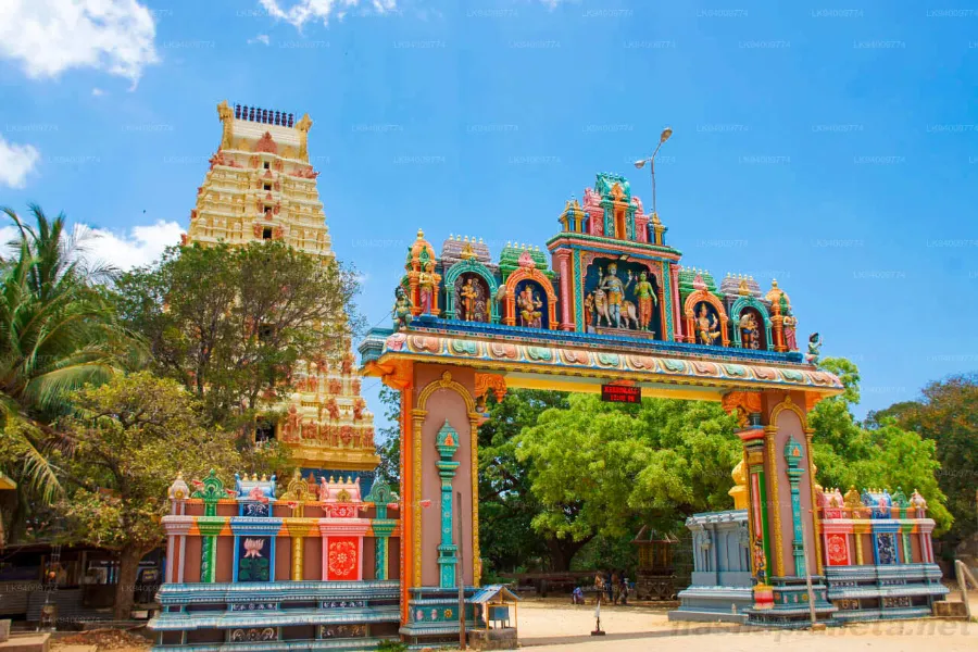 12-Day Northern Heritage & Cultural Trail of Sri Lanka – Anuradhapura to Kandy | Viathra Leisure