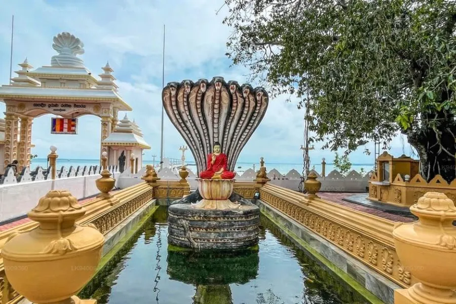 12-Day Northern Heritage & Cultural Trail of Sri Lanka – Anuradhapura to Kandy | Viathra Leisure